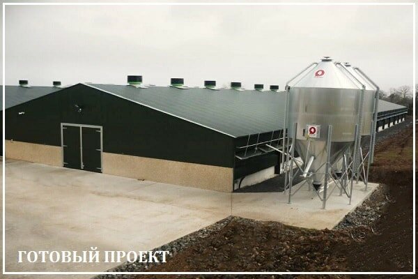 Этапы возведения птицефабрики от завода ВелесТент-ртв